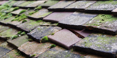 Conington roof repair costs